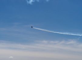 82-1EpJT8Ec