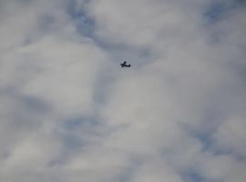 DSC 0290