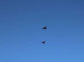 IMG 1496
