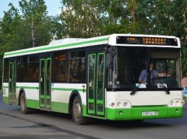 bus
