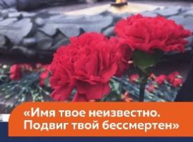 t5zsi14tvoi0ezs9jfv6j7ax3ow7tion